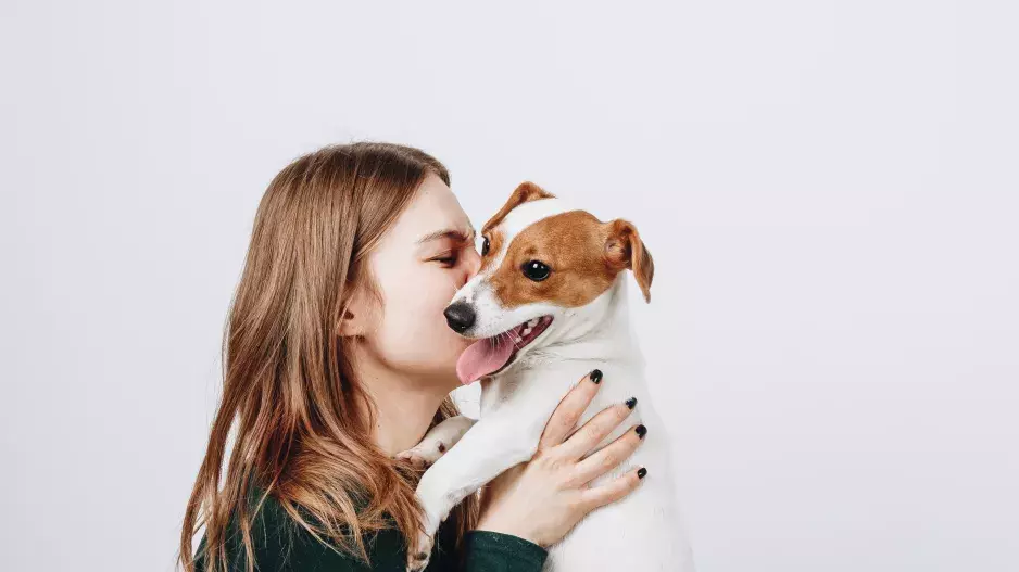 Pravidla venčení aneb pojistěte si svého mazlíčka