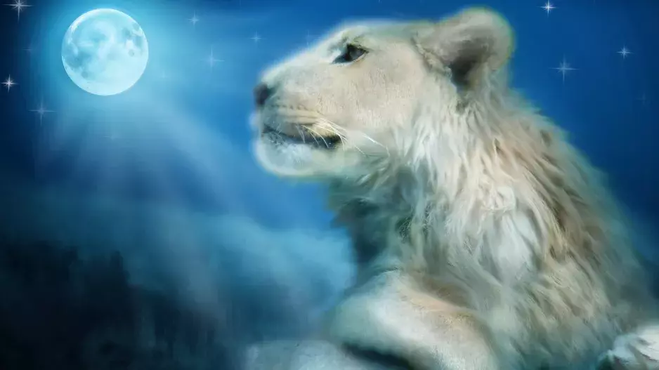 První letošní úplněk, ve znamení Lva: Zbavte se strachu a splňte si svá přání. Co ovlivňuje a co bychom tento den (ne)měli dělat?