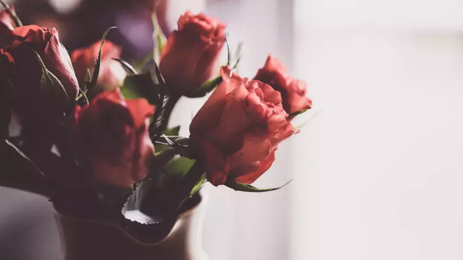 Triky, díky který vám vydrží řezané květiny téměř věčně