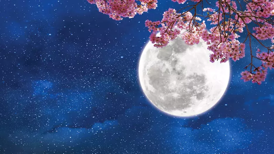 Čeká nás velikonoční úplněk ve Vahách: Výjimečná noc na nás bude mít silný vliv. Co při něm (ne)dělat?