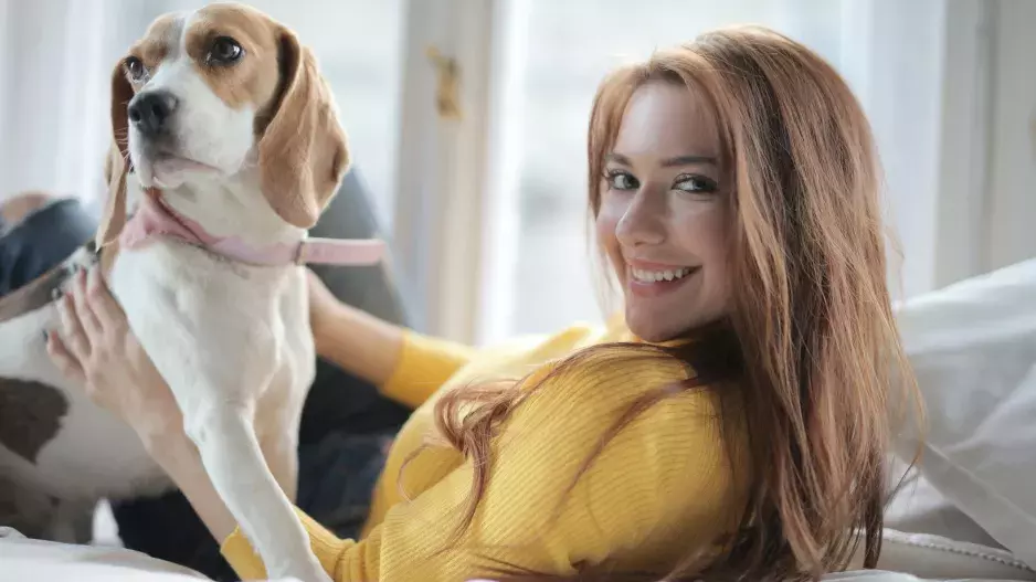 Jaký pán, takový pes: Co o vás vypovídá vaše oblíbené psí plemeno?