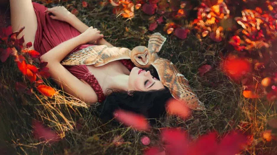 Zdá se vám v noci o zvířatech? Ktará vás varují před podlomeným zdravím a která předpovídají lásku?