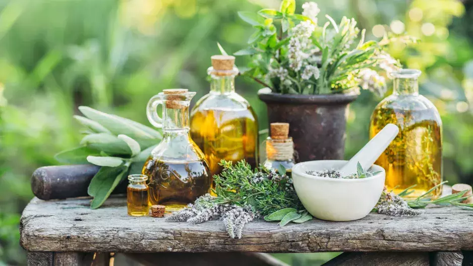 Bylinky v květináči a za oknem: Jaké vám doma rozhodně nesmí chybět?