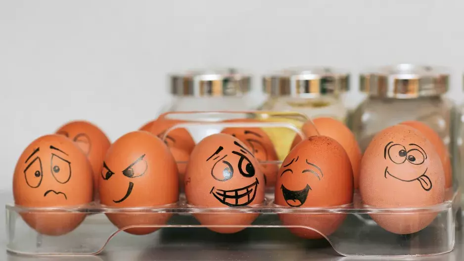 Pozor! Víme, proč nedávat vejce do dveří od lednice
