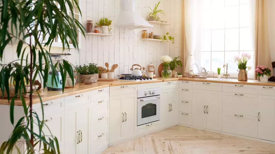 A co nesmí chybět na vaší kuchyňské lince?