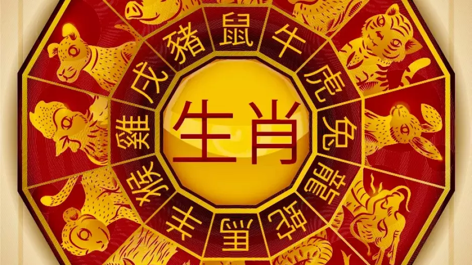 Čínský horoskop na červen: Problémy v práci, finanční nestabilita i hádky s partnerem. Co čeká vás?