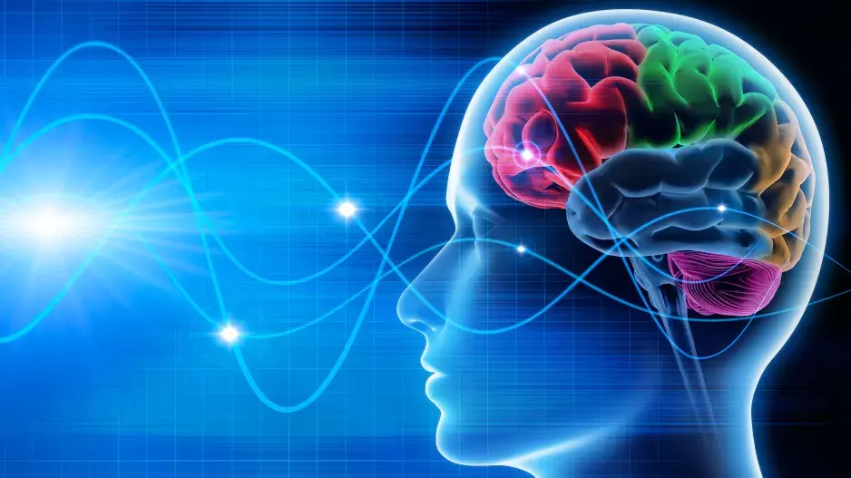 Budoucnost čtení myšlenek: Podle neurovědce se tato dovednost stane brzy reálnou!