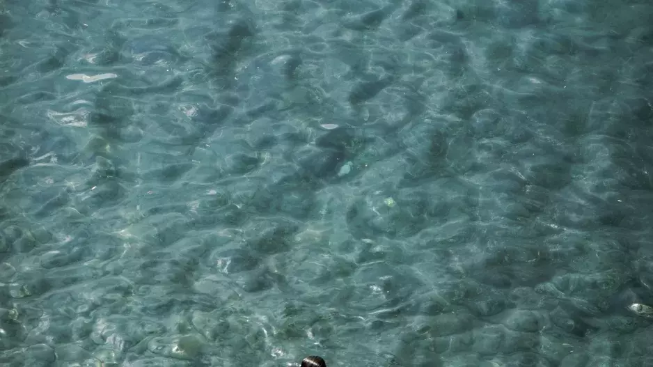 Vysoké teploty a sexy krásky v plavkách! Podívejte se, jak to sluší celebritám u vody