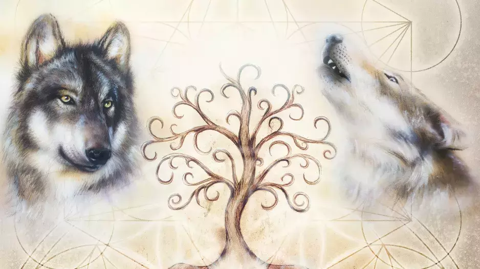 Keltský horoskop: Každé z 13 duchovních zvířat symbolizuje určitou přednost. Která je ta vaše?