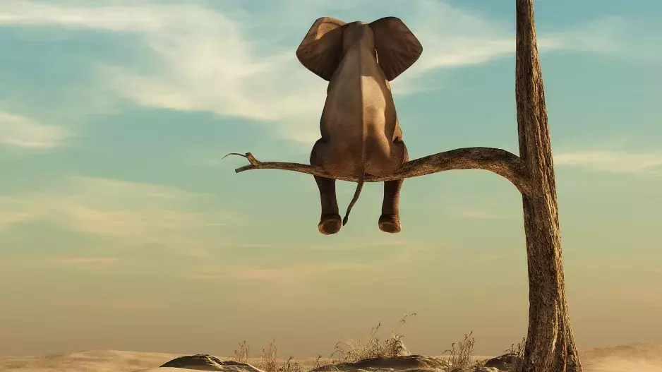 Horoskop afrických domorodců: Znamení, která jsou odlišná od klasických znamení zvěrokruhu. Máte povahové vlastnosti Soudce, Cestovatele nebo Dítěte světa?