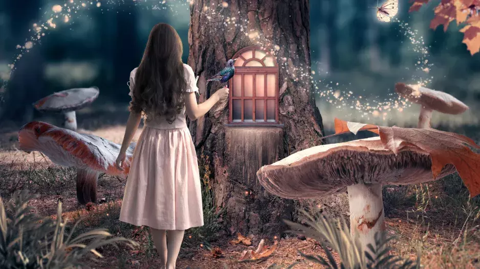 Psychologický test: Vyberte si jeden ze šesti stromů. Odhalí to vaše největší přednosti! V čem jste výjimeční?