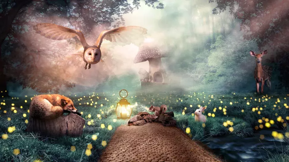 Test osobnosti: Zvíře, které vidíte jako první, vypovídá o vašich přednostech