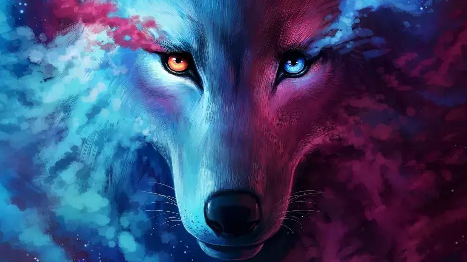 Test osobnosti: Vybírejte z dvojic obrázků zvířat a porovnejte, zda výsledek kvízu odpovídá vaší povaze!