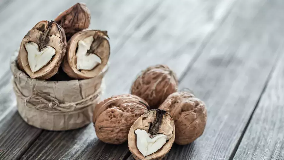 Vlašské ořechy: Dovedou vám prodloužit život, jaké množství je třeba denně sníst a které další zdravotní benefity mají?