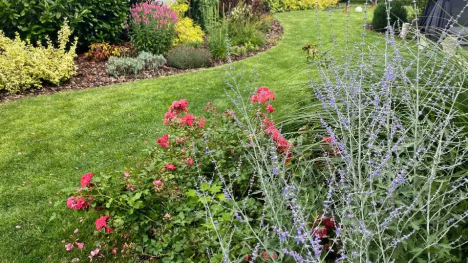 Neuvěřitelně krásná proměna zahrady u nádražní budovy aneb Mistři zahrad v akci
