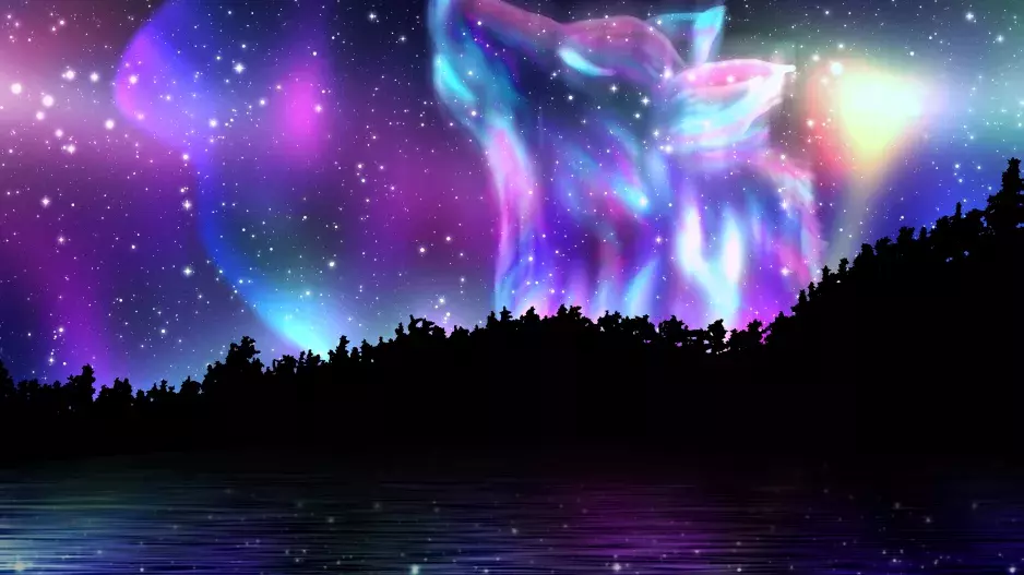 Jste medvěd, lev, vlk nebo delfín? Zjistěte své spánkové zvíře a podívejte se, jaký denní režim je pro vás optimální