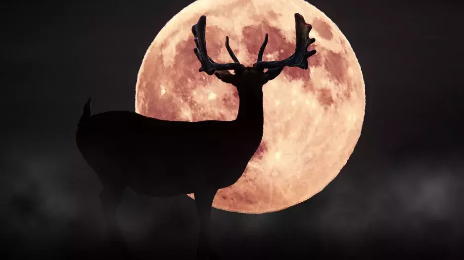 Lovecký úplněk v Beranu: Bude mít nejsilnější vliv na vztahy. Vzniknou nová partnerství, ale přijdou i rozchody