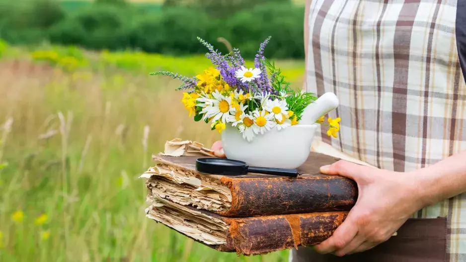 Návody na jednoduché domácí lektvary z léčivých bylin: Uvolní dýchací cesty, pomůžou proti kašli a uleví od bolestí kloubů 