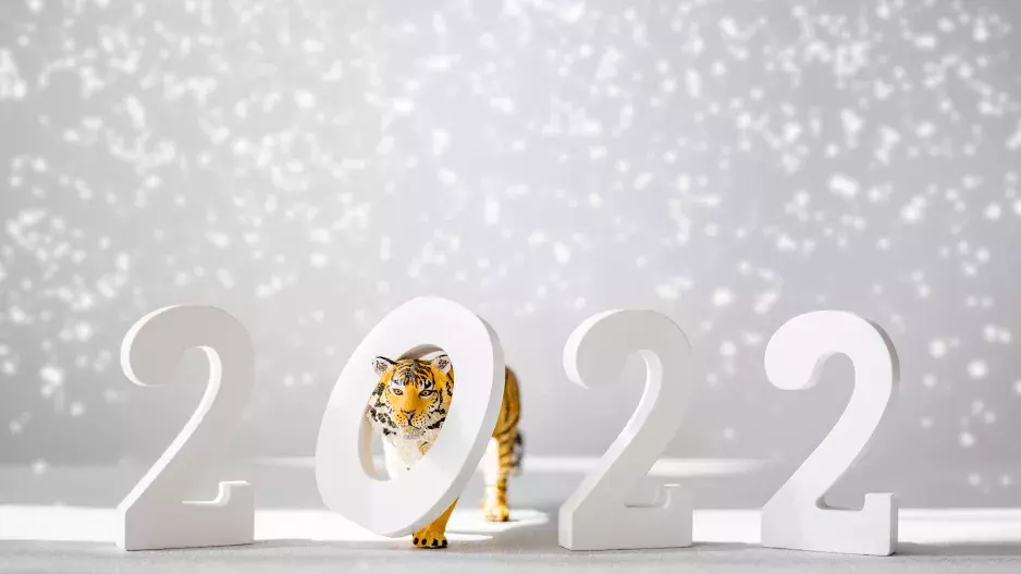 Čínský horoskop pro rok 2022: V roce vodního Tygra projevíme odvahu i empatii