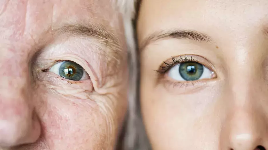 Barva očí: Dle vědců se pojí se zdravotními riziky i sklony k alkoholismu. Zjistěte, co značí zelená, modrá či hnědá duhovka