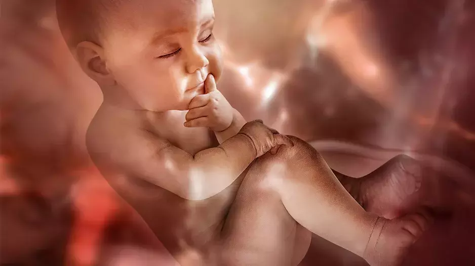 Koloběh naší duše: Před svým narozením si vybíráme rodinu a přátele