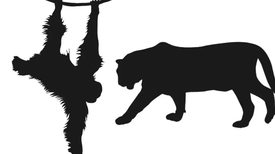 Vidíte tygra, nebo opici? Optická iluze prozradí, zda jste realista nebo snílek a pomůže vám určit váš způsob myšlení