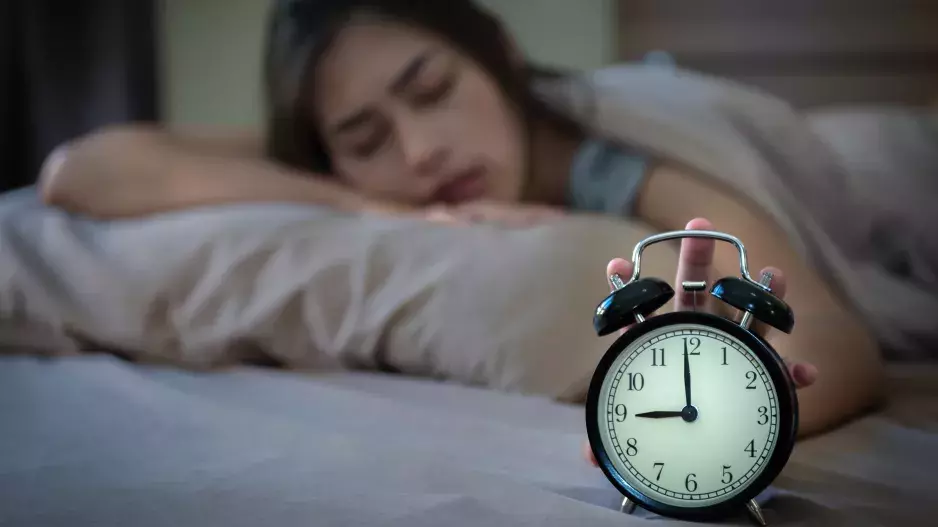 Zdraví: Jedno ze čtyř zvířat prozradí váš denní režim. 55 % populace jsou medvědi 