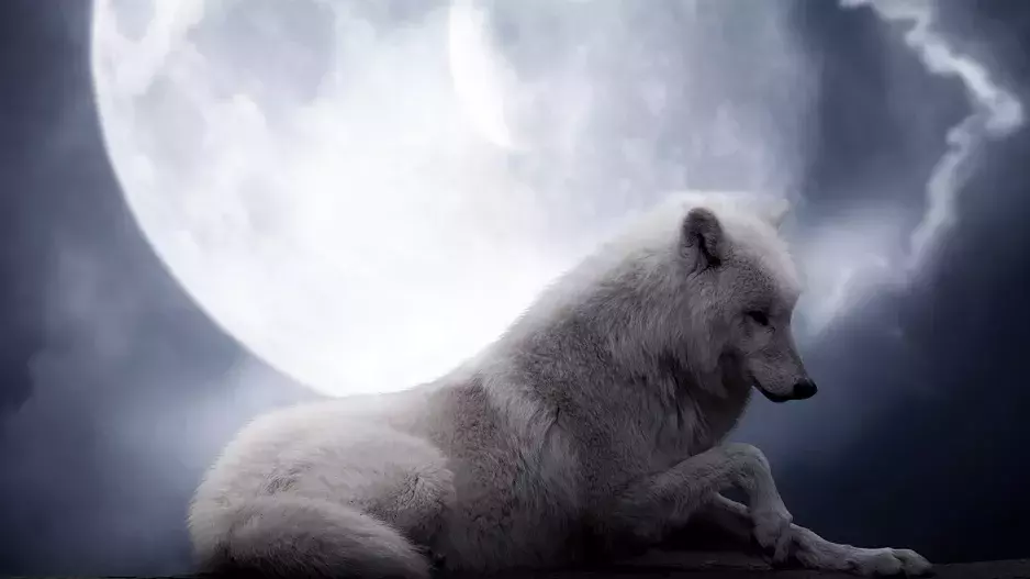 Přichází první letošní úplněk: Magický čas otevře bránu do vašeho nitra