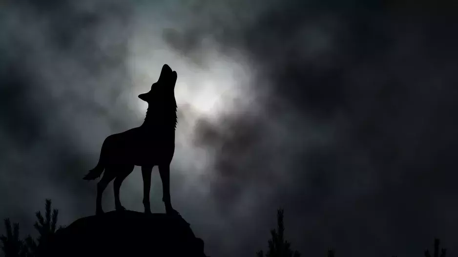 Vlčí měsíc 2023: Lednový úplněk zasáhne tři znamení zvěrokuhu. Býky čekají emocionální chvíle