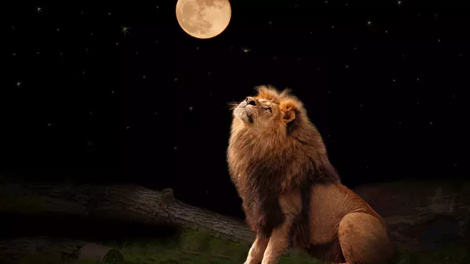 Přichází sněhový úplněk ve Lvu: Tentokrát zamíchá s životy všech znamení zvěrokruhu