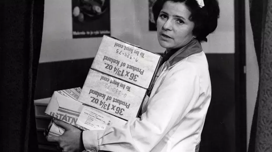 Kvíz: Pamatujete si legendární seriály z dob socialismu? Žena za pultem nebyla zdaleka jediným fenoménem. Otestujte svoje znalosti 