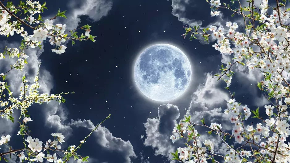 Přichází březnový červí úplněk: přináší do vašeho života jasno a řád