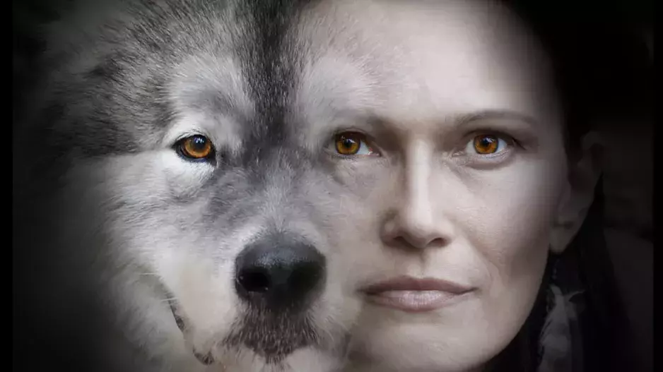 Zvíře, které spatříte jako první, určuje vaše dominantní osobnostní rysy