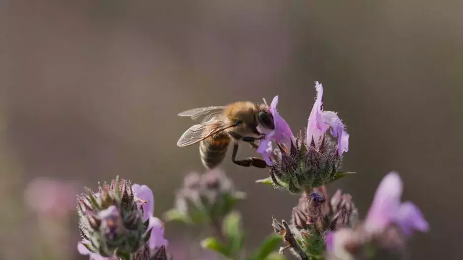 Tajemné hrdinky naší planety. Co všechno o nich víte? Otestujte se v našem kvízu 