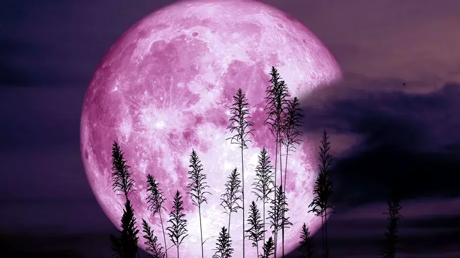 Astrologie: Přichází červnový Jahodový úplněk. Rozbrečí vás každý romantický film a mohou vás bolet kolena 