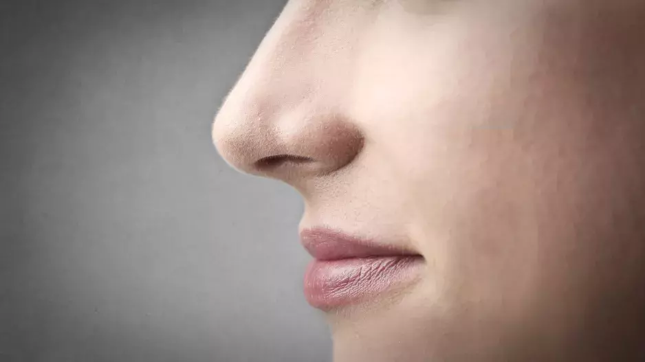 Dýchání nosem má velký vliv na atraktivitu vašeho vzhledu a hraje zásadní roli v ložnici, tvrdí odborníci