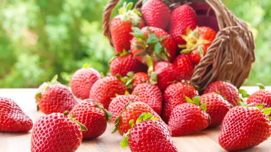 Hit internetu: Osolte jahody a vylezou červi. Miliony lidí na tuto metodu nedá dopustit