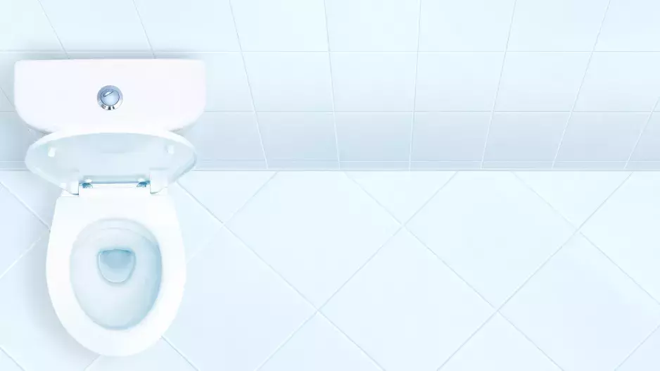 Čistá toaleta bez práce: Postup se solí a práškem na praní si zamilujete