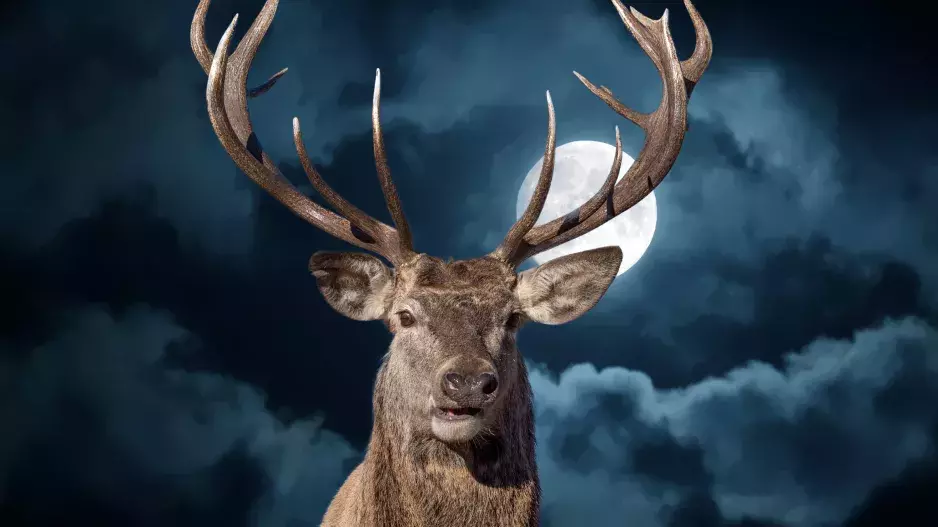 Červencový úplněk: Co vás čeká? Jelení úplněk v Kozorohu přinese pochyby 