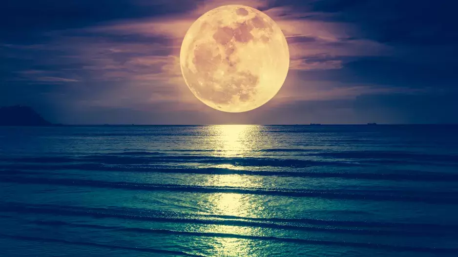 Jeseteří úplněk v Rybách nastává 31. srpna: Přichází čas se ohlédnout