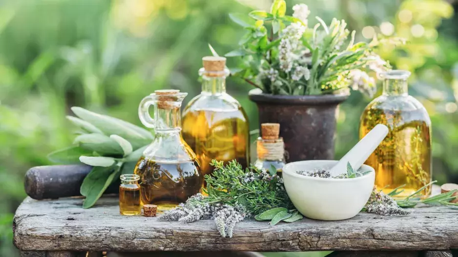 Vyzkoušejte nejlepší přírodní antibiotika a připravte se na zimu. Rostou všude okolo vás a najdete je i ve spíži