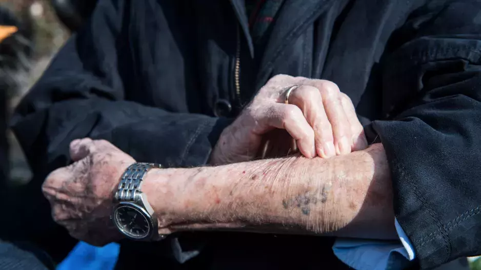 Milostný příběh tatéra z Osvětimi Ludwiga Eisenberga: Díky lásce překonal neuvěřitelné nástrahy nejen koncentračního tábora