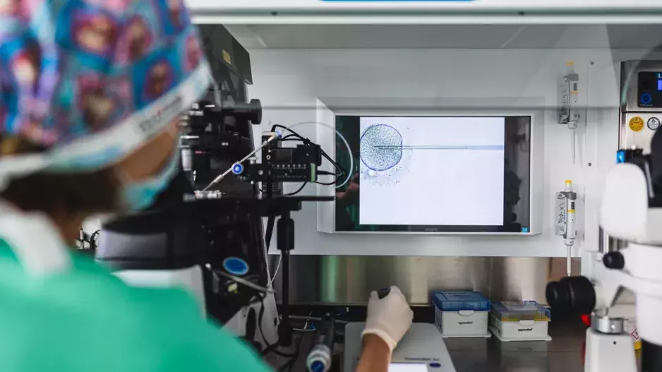 Pro budoucí rodiče: Potratům i dědičným chorobám lze předcházet