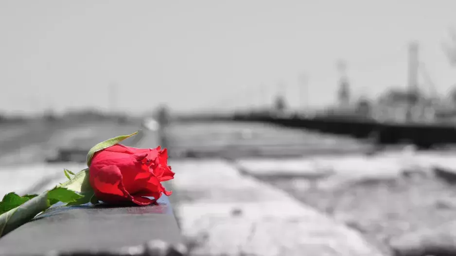 Dojemné setkání milenců z Osvětimi po 72 letech: Láska jim pomohla přežít  