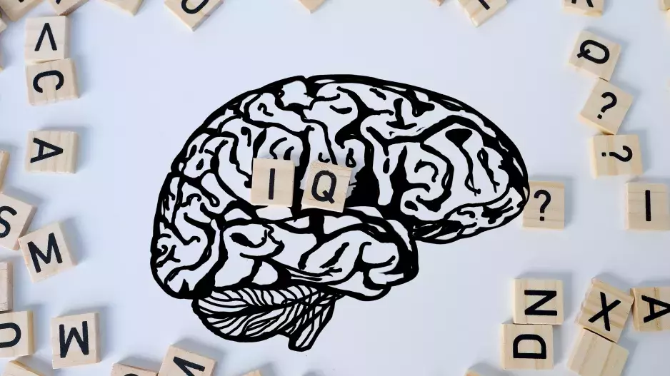 Kvíz: Zjistěte, zda jste nadprůměrně inteligentní. Zábavný IQ test odhalí vaši míru inteligence