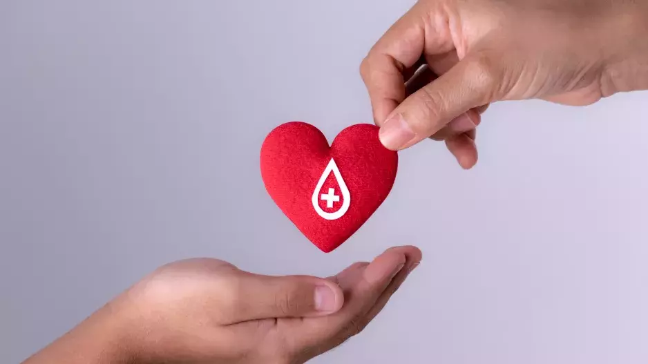 Co o vás prozradí krevní skupina? Podle Japonců rozhoduje o vaší povaze i vztazích