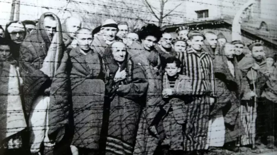 Krejčí z Osvětimi: Martin Greenfield detailně popsal hrůzy holocaustu. Nakonec ho čekal osud, o kterém se mu nesnilo
