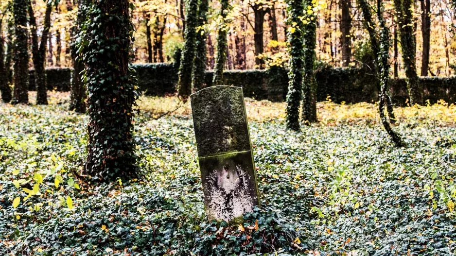 Hřbitov bláznů v Bohnicích: Místo, které nahání husí kůži. Odpočívají zde šílenci, devianti a satanisté zde mají své útočiště