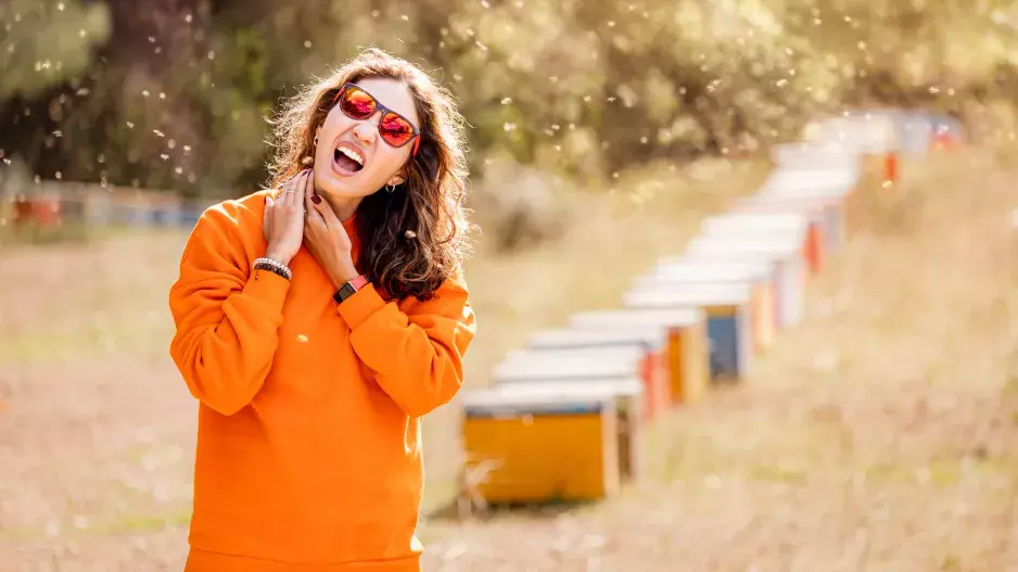 Alergie na žihadla: Co dělat, když vás štípne vosa, včela nebo sršeň a jaký je v tom rozdíl