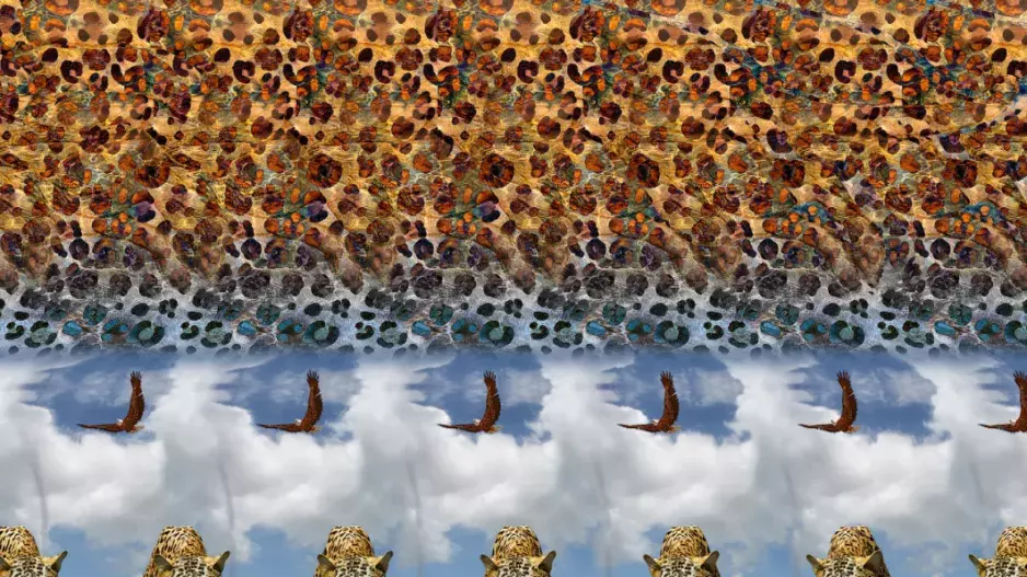 Optická iluze, která ovládla svět: Pokud uvidíte skrytý objekt na obrázku, patříte k lidem, kteří mají “šestý smysl”